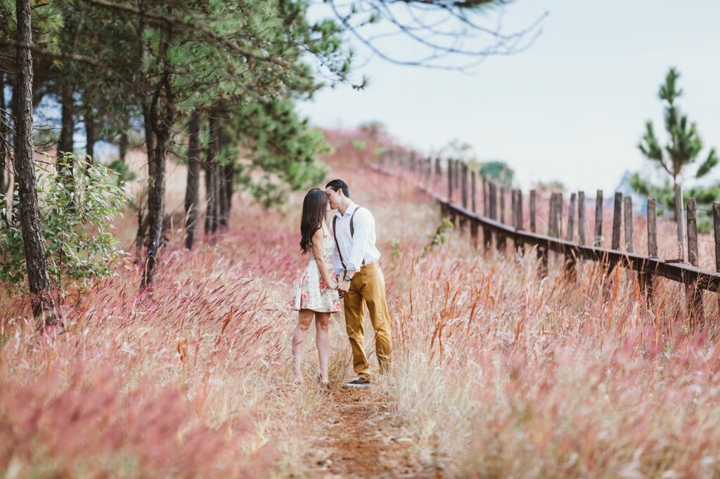 couple, kiss, field-1779066.jpg